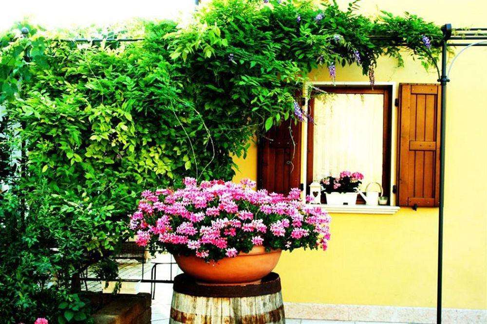 Hotel Caselle Σαν Λάτζαρο ντι Σάβενα Εξωτερικό φωτογραφία